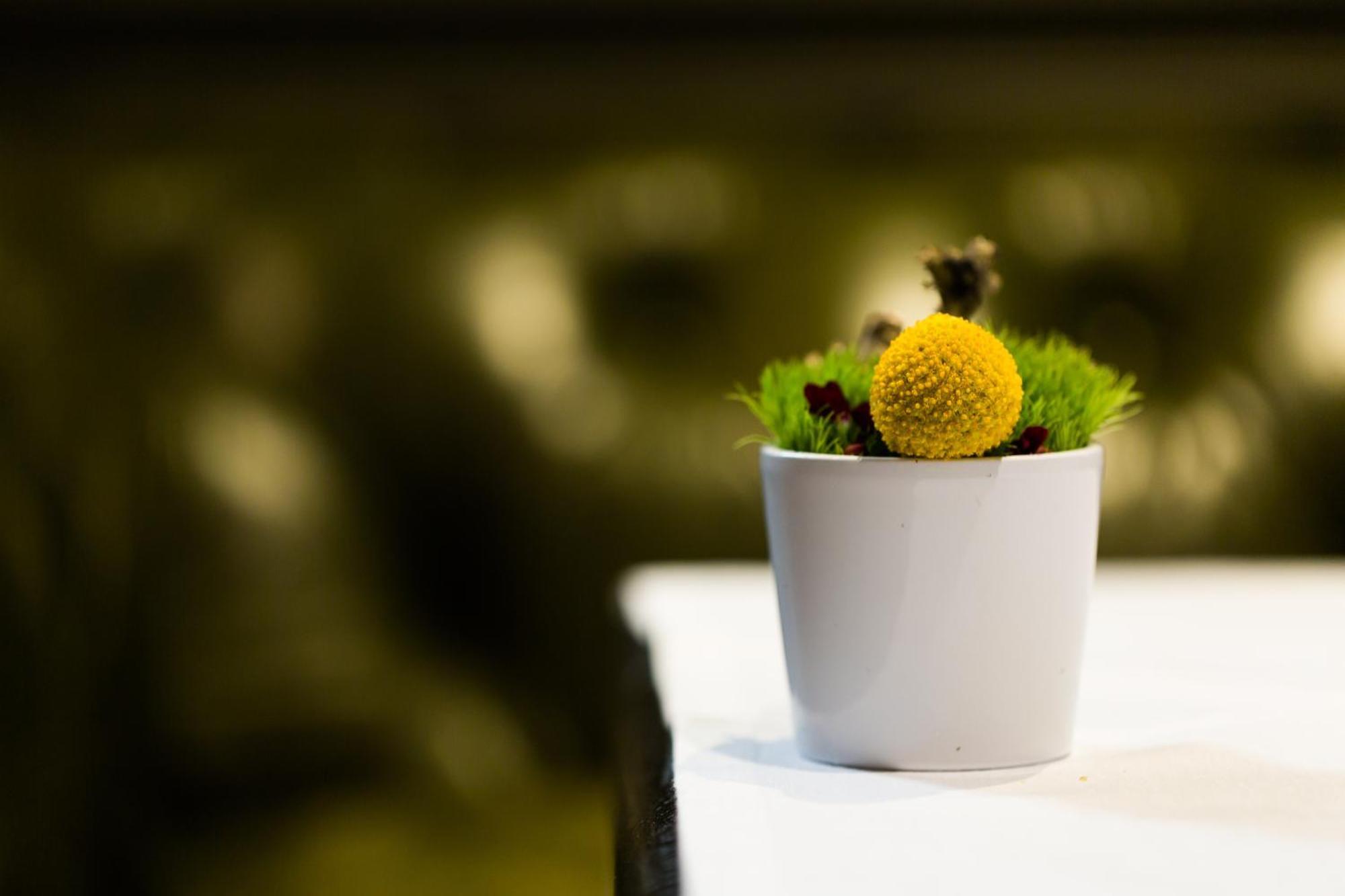La Cour Des Consuls Hotel And Spa Toulouse - Mgallery المظهر الخارجي الصورة